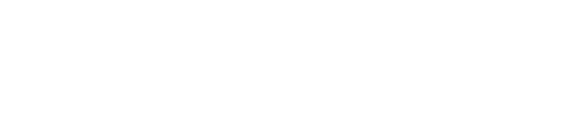 ALVISS project